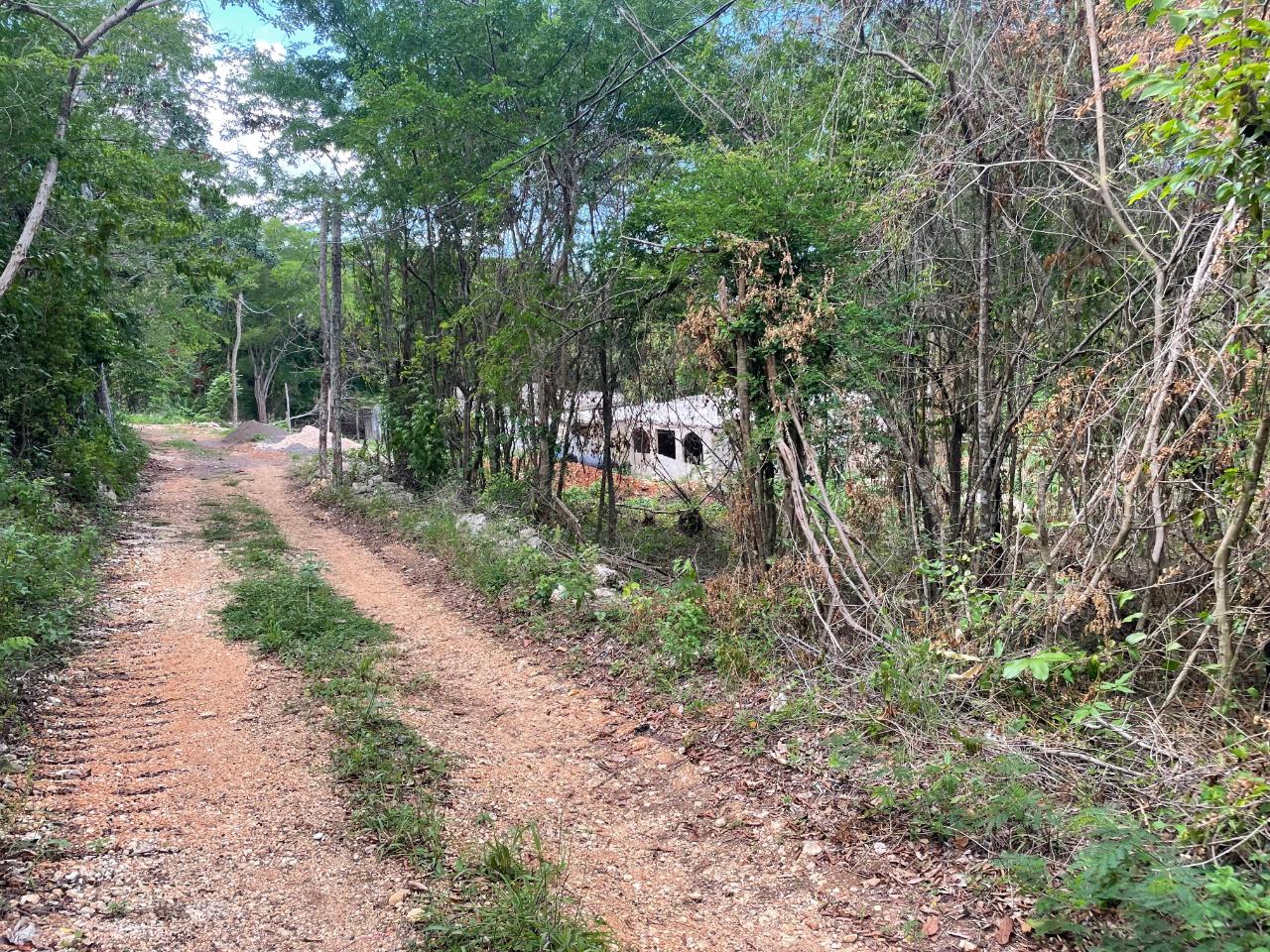 Third image of 19g Land Part of Dumbarton in Discovery Bay, St. Ann, Jamaica - property is For Sale
