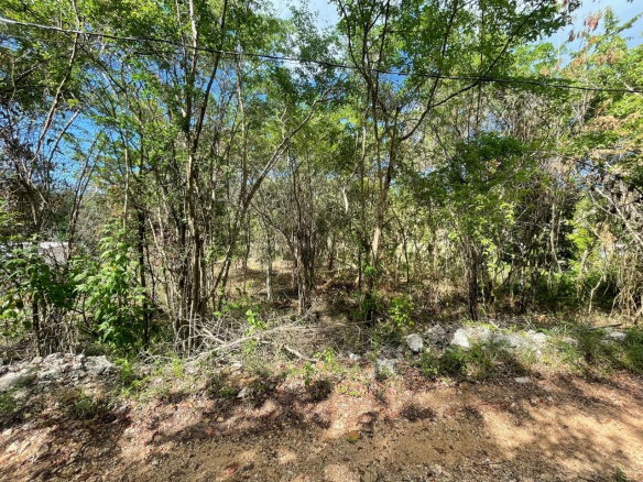 First image of 19g Land Part of Dumbarton in Discovery Bay, St. Ann, Jamaica - property is For Sale