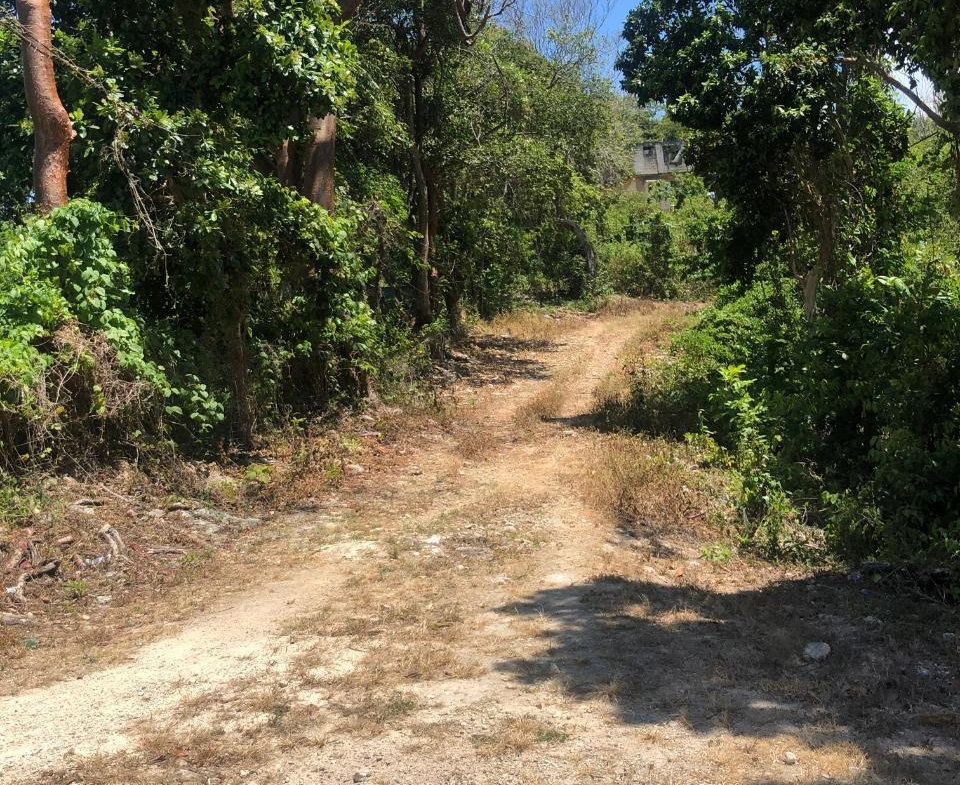 Eighth image of 19g Land Part of Dumbarton in Discovery Bay, St. Ann, Jamaica - property is For Sale