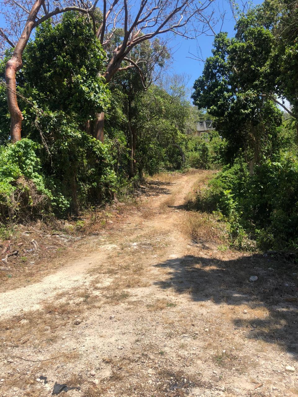 Eighth image of 19g Land Part of Dumbarton in Discovery Bay, St. Ann, Jamaica - property is For Sale