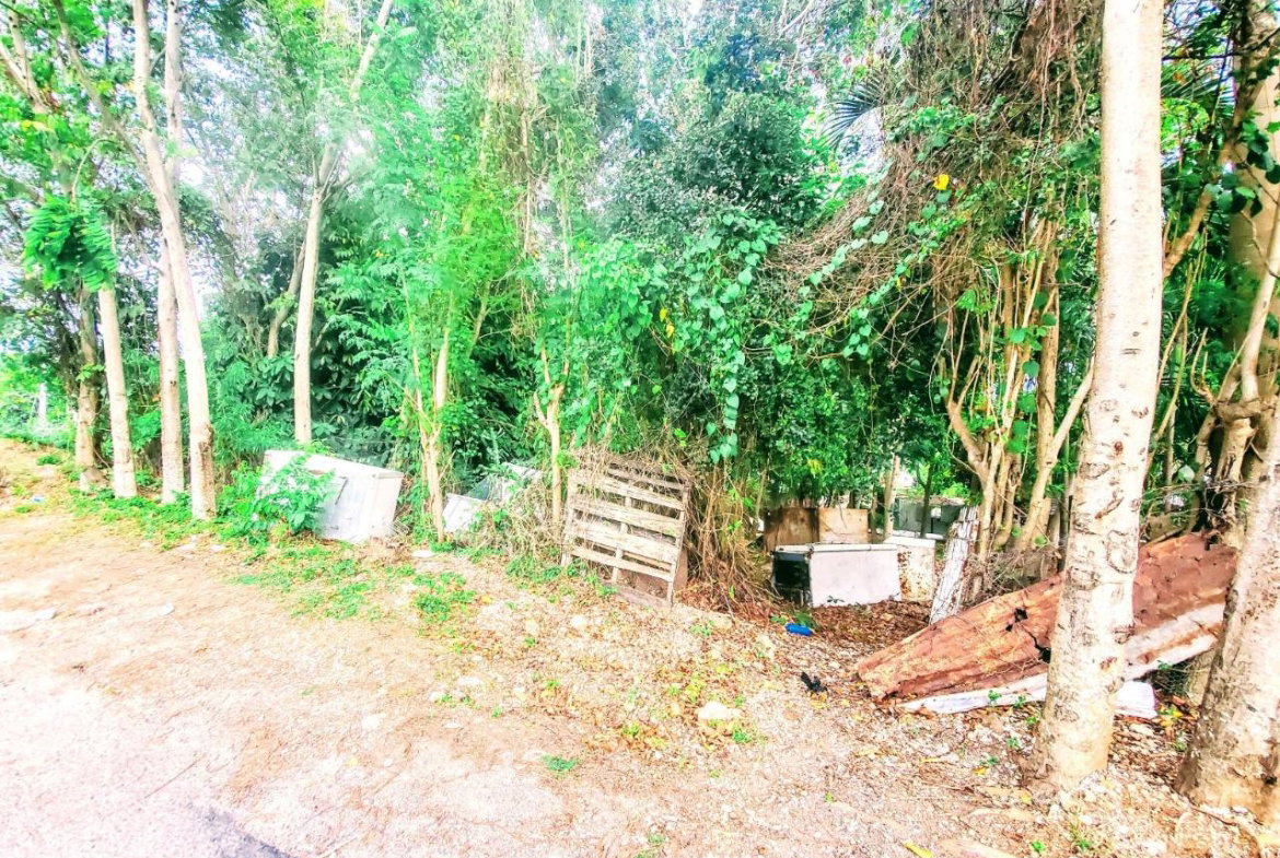 Twelfth image of 96 Hamilton Avenue in Montego Bay, St. James, Jamaica - property is For Sale