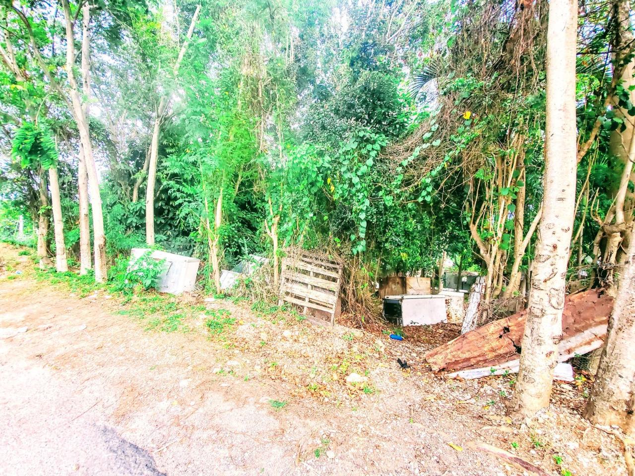 Residential-Lot-for-Sale-in-Dunbar-Jamaica-Build-Your-Dream-Home Twelfth image of 96 Hamilton Avenue in Montego Bay, St. James, Jamaica - property is For Sale