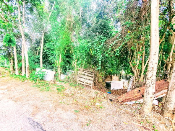 Twelfth image of 96 Hamilton Avenue in Montego Bay, St. James, Jamaica - property is For Sale