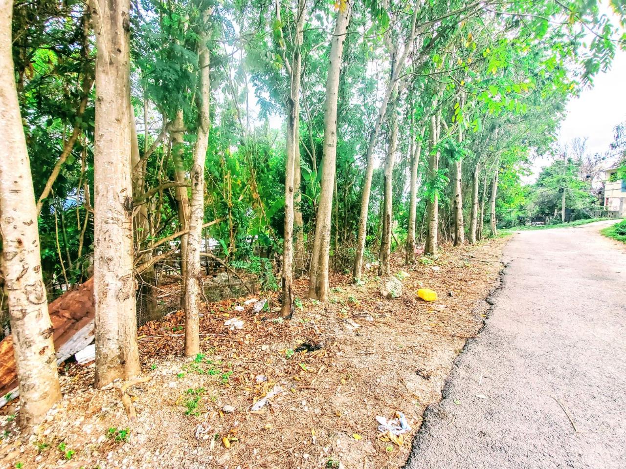 Residential-Lot-for-Sale-in-Dunbar-Jamaica-Build-Your-Dream-Home Thirteenth image of 96 Hamilton Avenue in Montego Bay, St. James, Jamaica - property is For Sale