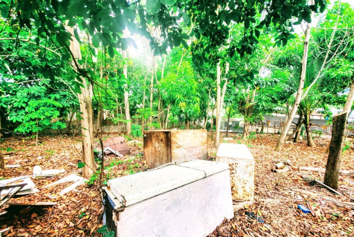 Fourteenth image of 96 Hamilton Avenue in Montego Bay, St. James, Jamaica - property is For Sale
