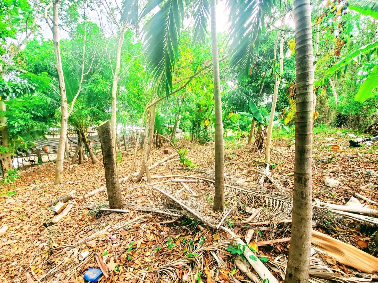 Residential-Lot-for-Sale-in-Dunbar-Jamaica-Build-Your-Dream-Home Fifteenth image of 96 Hamilton Avenue in Montego Bay, St. James, Jamaica - property is For Sale