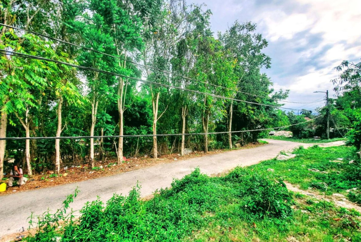 Seventeenth image of 96 Hamilton Avenue in Montego Bay, St. James, Jamaica - property is For Sale