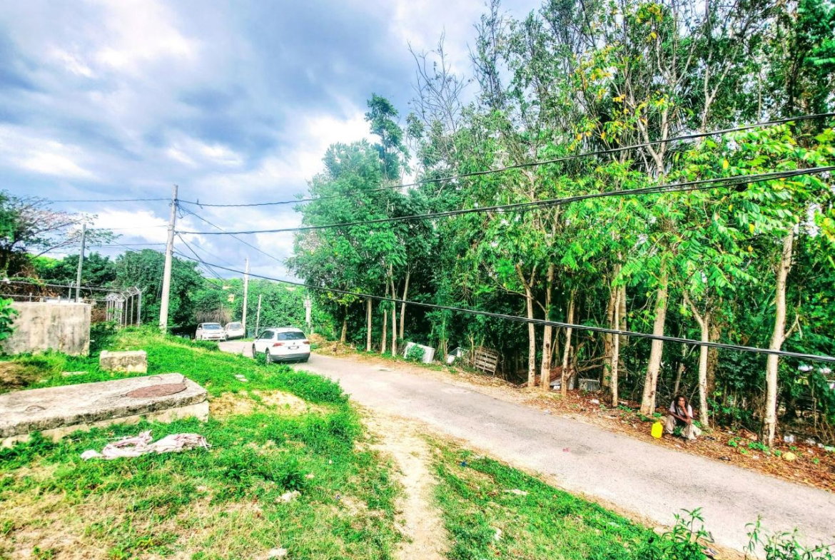 Eighteenth image of 96 Hamilton Avenue in Montego Bay, St. James, Jamaica - property is For Sale
