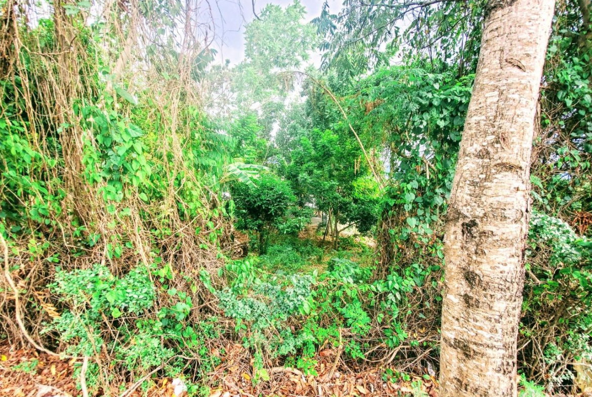 Nineteenth image of 96 Hamilton Avenue in Montego Bay, St. James, Jamaica - property is For Sale