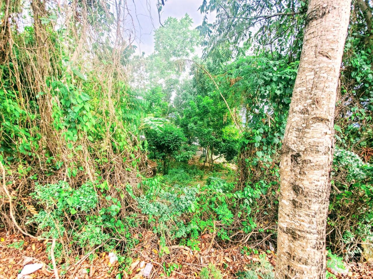 Residential-Lot-for-Sale-in-Dunbar-Jamaica-Build-Your-Dream-Home Nineteenth image of 96 Hamilton Avenue in Montego Bay, St. James, Jamaica - property is For Sale