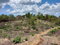 First image of Evans Heights in May Pen, Clarendon, Jamaica - property is For Sale