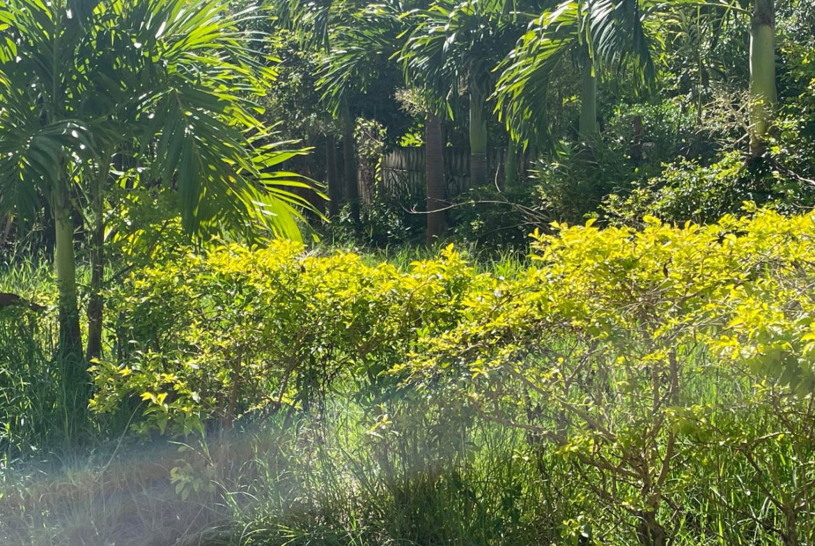 Second image of Lot 348- Fairview Park in Spanish Town, St. Catherine, Jamaica - property is For Sale