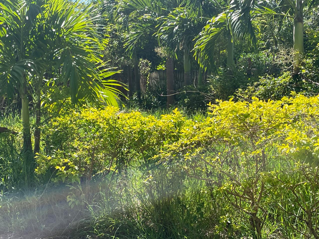 Second image of Lot 348- Fairview Park in Spanish Town, St. Catherine, Jamaica - property is For Sale