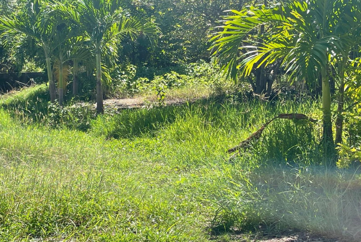 Third image of Lot 348- Fairview Park in Spanish Town, St. Catherine, Jamaica - property is For Sale