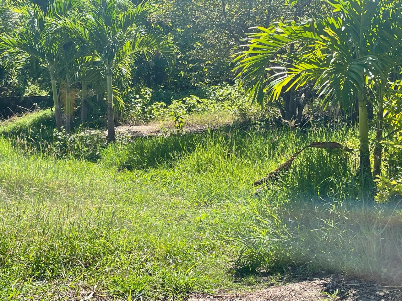 Third image of Lot 348- Fairview Park in Spanish Town, St. Catherine, Jamaica - property is For Sale