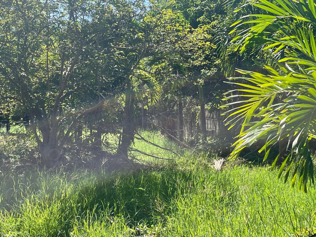 Fourth image of Lot 348- Fairview Park in Spanish Town, St. Catherine, Jamaica - property is For Sale