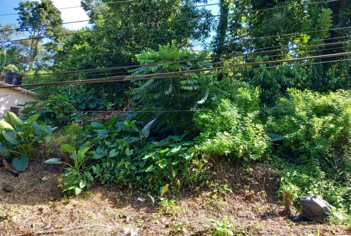 Second image of Fairy Hill in Fairy Hill, Portland, Jamaica - property is For Sale