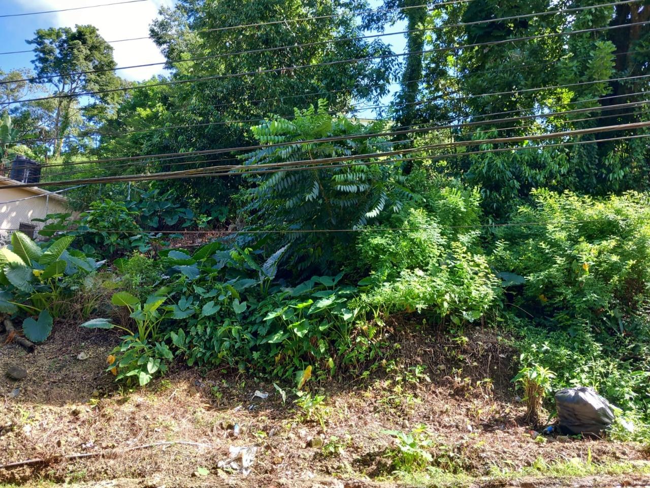 Second image of Fairy Hill in Fairy Hill, Portland, Jamaica - property is For Sale