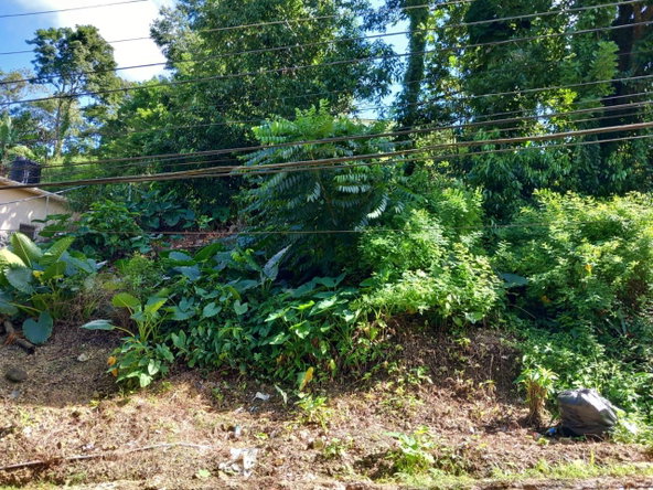 Second image of Fairy Hill in Fairy Hill, Portland, Jamaica - property is For Sale