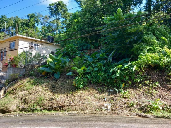 First image of Fairy Hill in Fairy Hill, Portland, Jamaica - property is For Sale