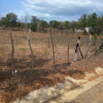 First image of Lot 8- Greenfield, Fort Charles in Black River, St. Elizabeth, Jamaica - property is For Sale