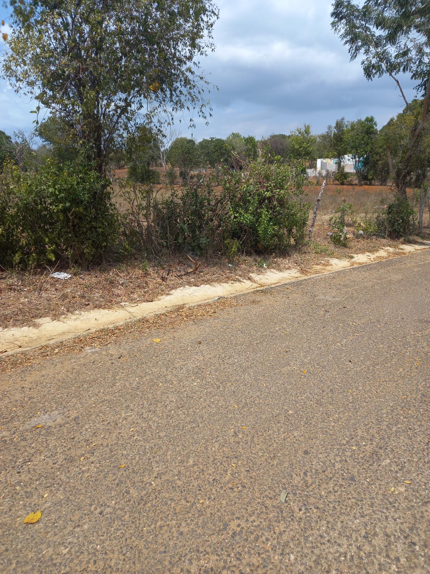 Third image of Lot 8- Greenfield, Fort Charles in Black River, St. Elizabeth, Jamaica - property is For Sale