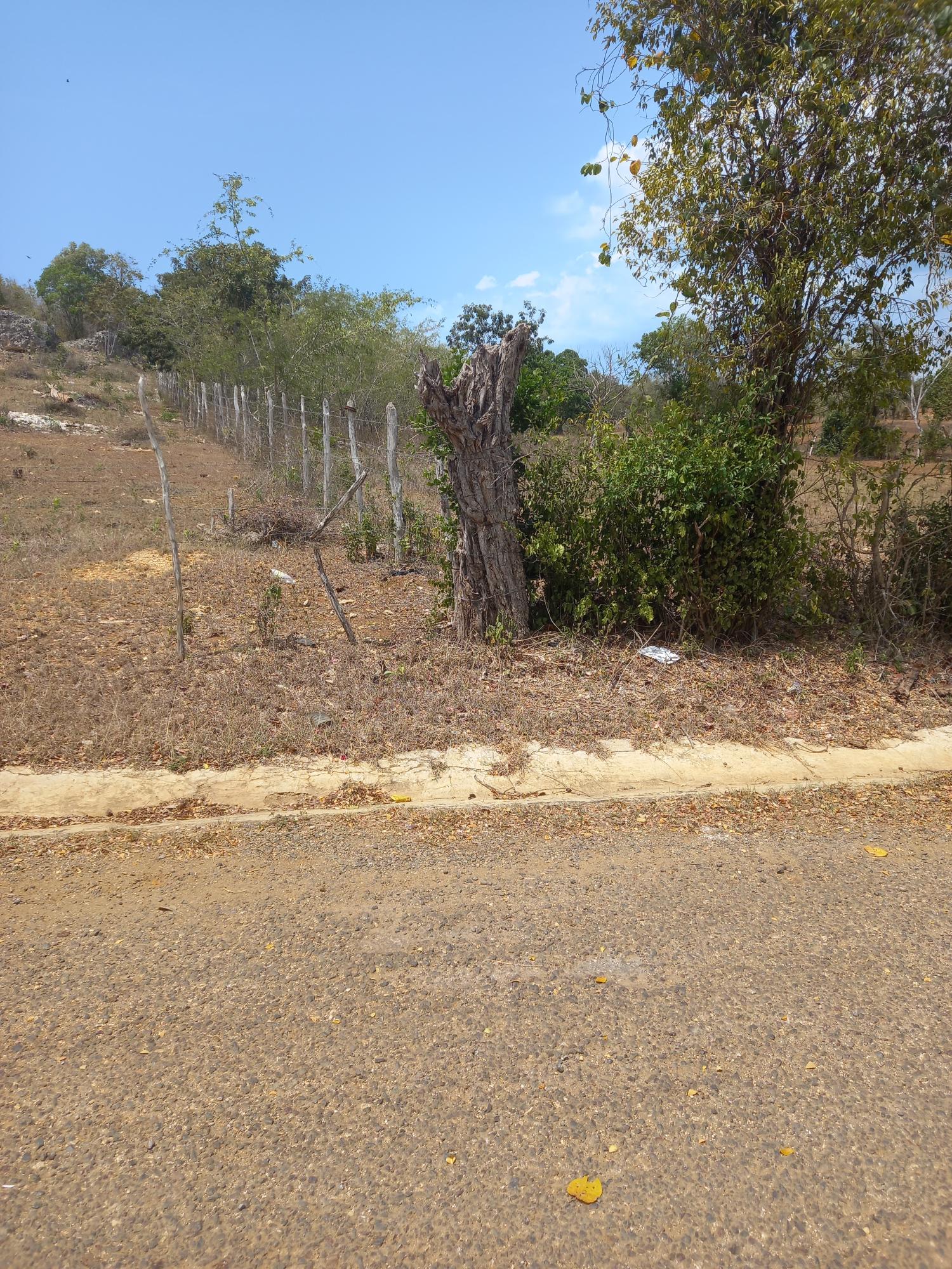 Fourth image of Lot 8- Greenfield, Fort Charles in Black River, St. Elizabeth, Jamaica - property is For Sale