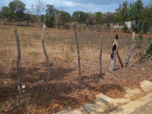 First image of Lot 8- Greenfield, Fort Charles in Black River, St. Elizabeth, Jamaica - property is For Sale