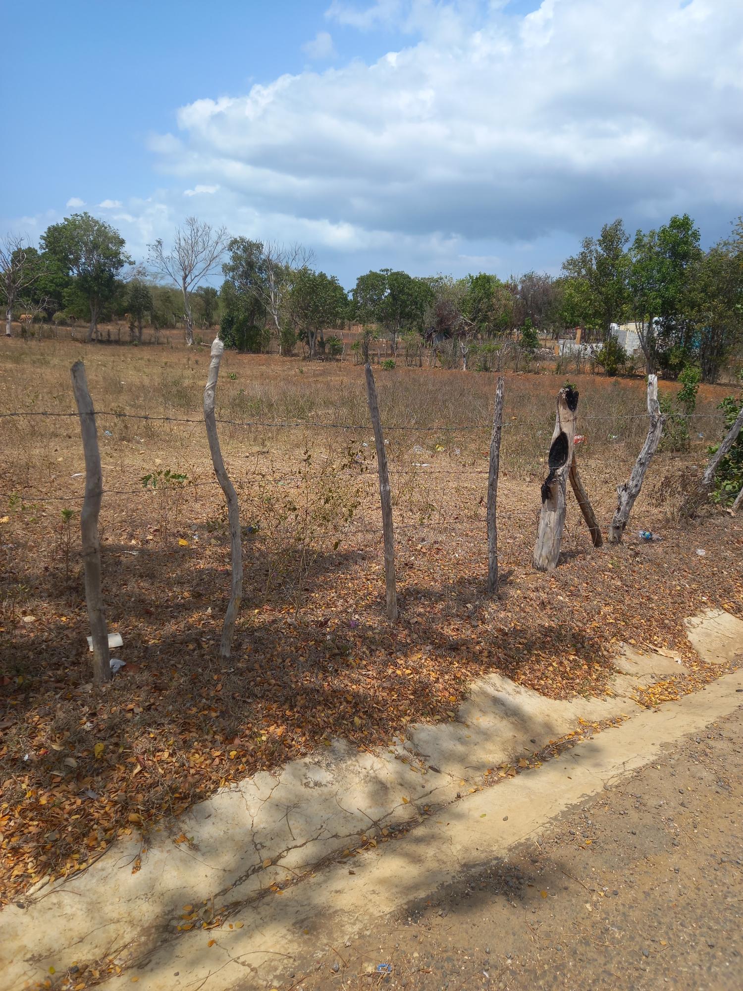 First image of Lot 8- Greenfield, Fort Charles in Black River, St. Elizabeth, Jamaica - property is For Sale