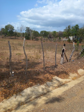 First image of Lot 8- Greenfield, Fort Charles in Black River, St. Elizabeth, Jamaica - property is For Sale
