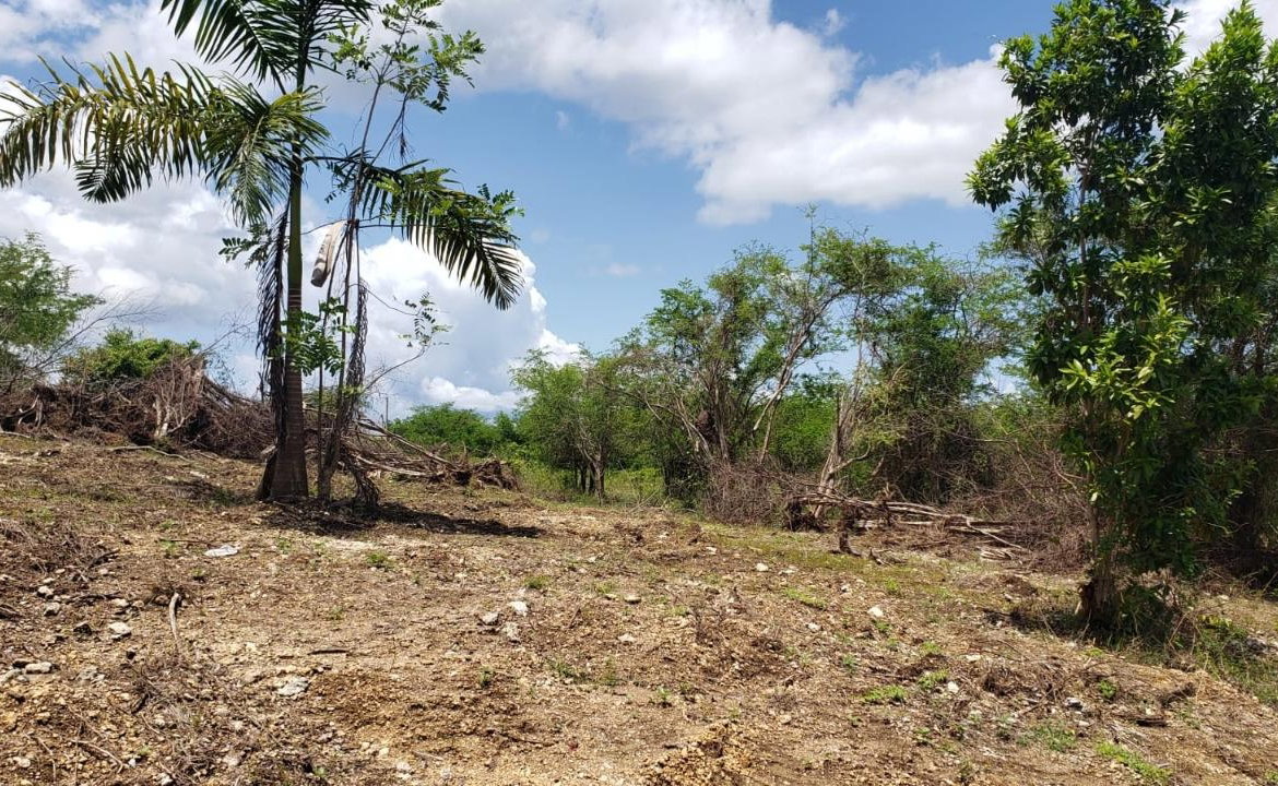Second image of Lot-285 Palmbrook Estate in Lacovia, St. Elizabeth, Jamaica - property is For Sale