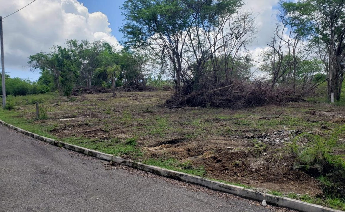 Eleventh image of Lot-285 Palmbrook Estate in Lacovia, St. Elizabeth, Jamaica - property is For Sale