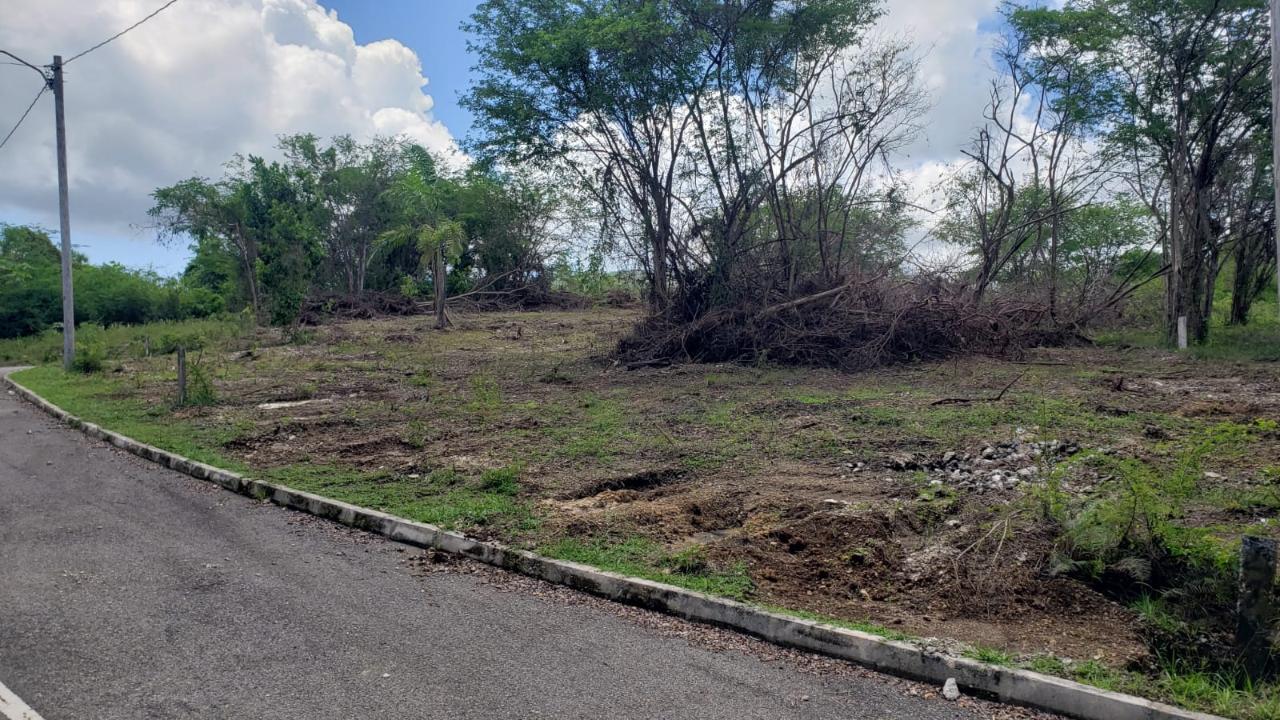 Residential-Lot-for-Sale-in-Gated-Community-Palmbrook-Estate-St.-Elizabeth Eleventh image of Lot-285 Palmbrook Estate in Lacovia, St. Elizabeth, Jamaica - property is For Sale
