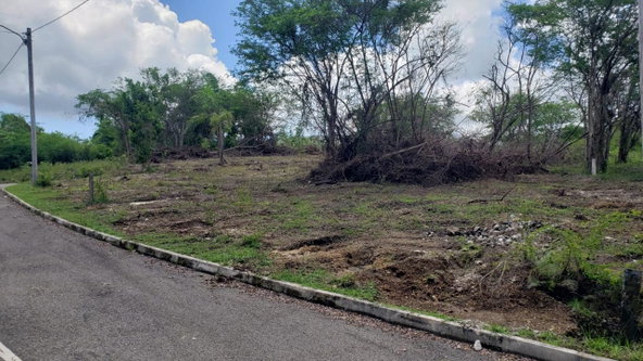 Eleventh image of Lot-285 Palmbrook Estate in Lacovia, St. Elizabeth, Jamaica - property is For Sale