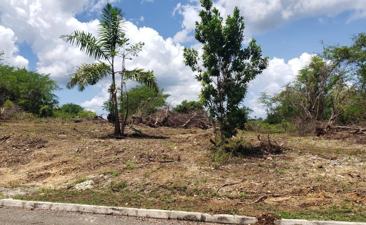 First image of Lot-285 Palmbrook Estate in Lacovia, St. Elizabeth, Jamaica - property is For Sale