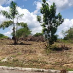 First image of Lot-285 Palmbrook Estate in Lacovia, St. Elizabeth, Jamaica - property is For Sale