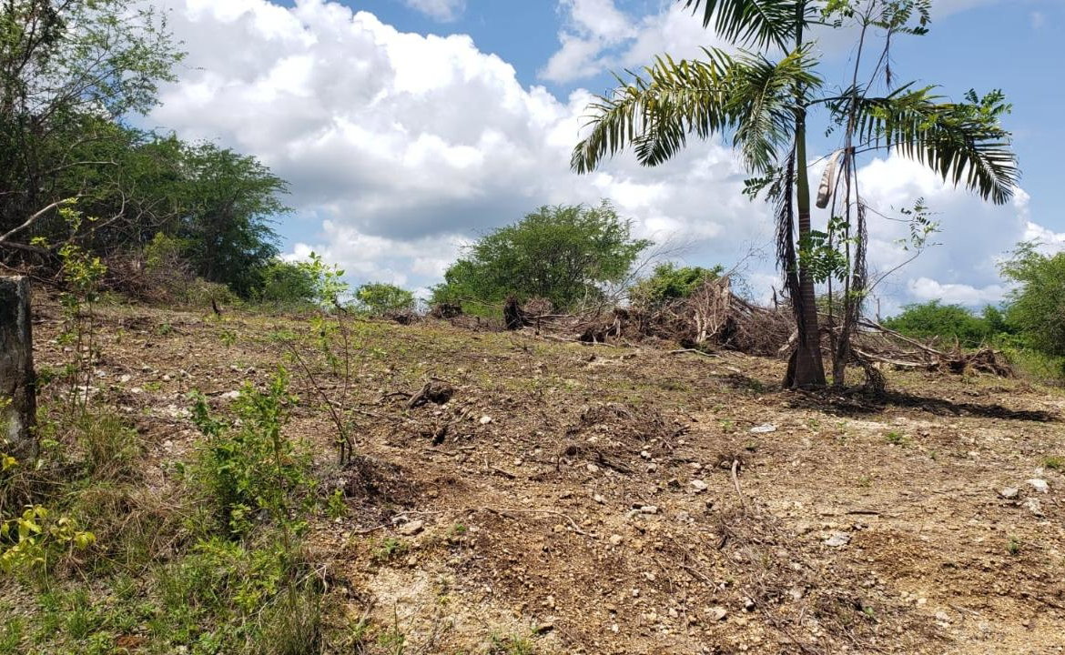 Third image of Lot-285 Palmbrook Estate in Lacovia, St. Elizabeth, Jamaica - property is For Sale