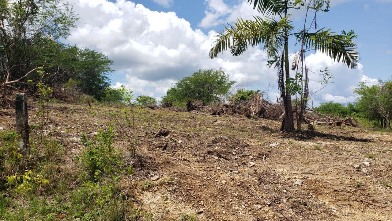 Residential-Lot-for-Sale-in-Gated-Community-Palmbrook-Estate-St.-Elizabeth Third image of Lot-285 Palmbrook Estate in Lacovia, St. Elizabeth, Jamaica - property is For Sale