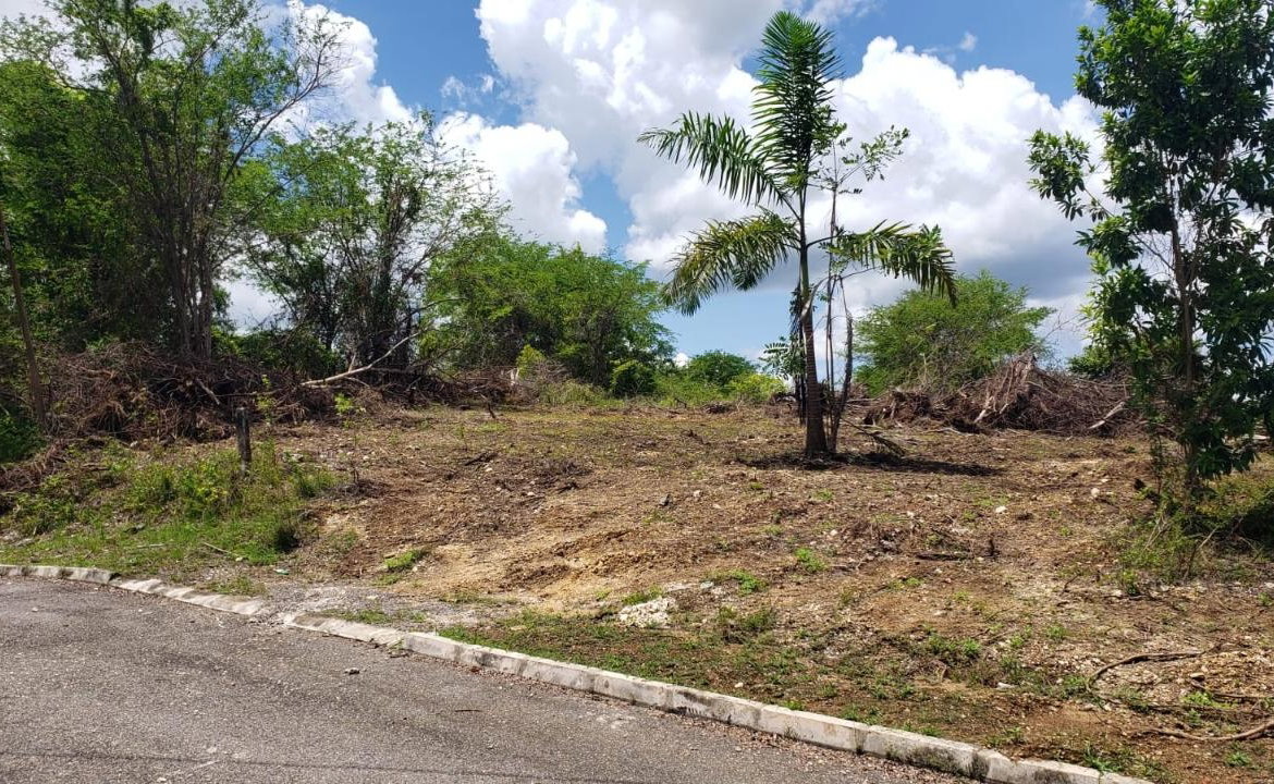 Fourth image of Lot-285 Palmbrook Estate in Lacovia, St. Elizabeth, Jamaica - property is For Sale