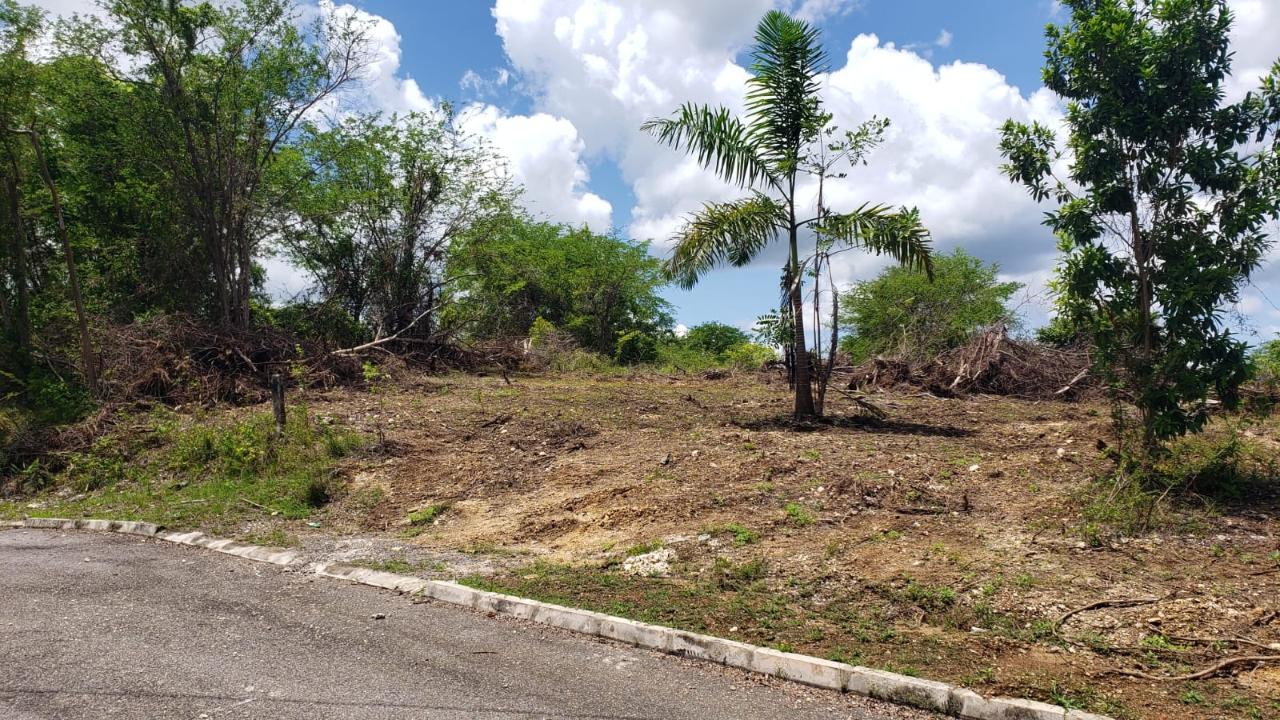 Residential-Lot-for-Sale-in-Gated-Community-Palmbrook-Estate-St.-Elizabeth Fourth image of Lot-285 Palmbrook Estate in Lacovia, St. Elizabeth, Jamaica - property is For Sale