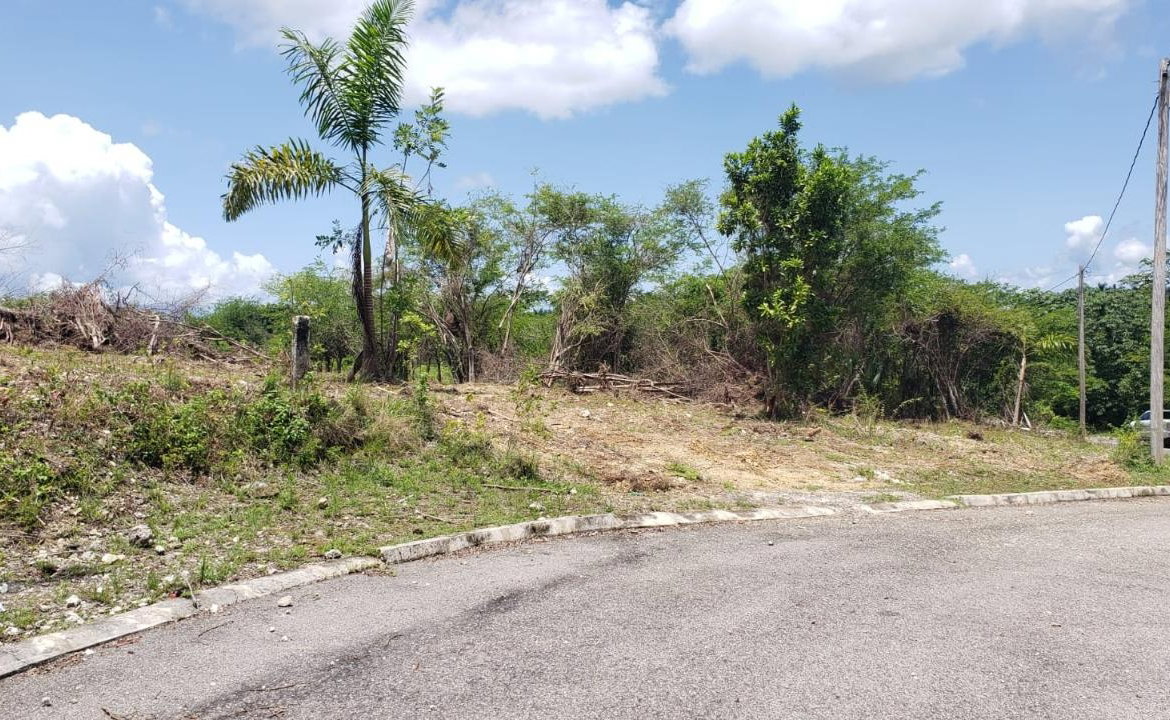 Fifth image of Lot-285 Palmbrook Estate in Lacovia, St. Elizabeth, Jamaica - property is For Sale