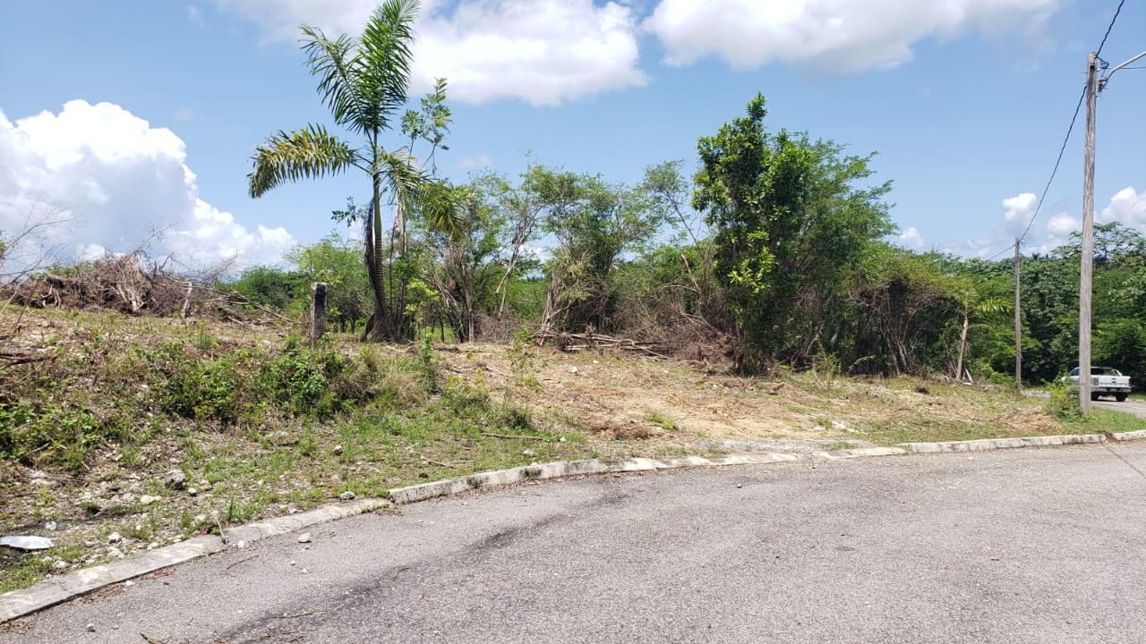 Residential-Lot-for-Sale-in-Gated-Community-Palmbrook-Estate-St.-Elizabeth Fifth image of Lot-285 Palmbrook Estate in Lacovia, St. Elizabeth, Jamaica - property is For Sale