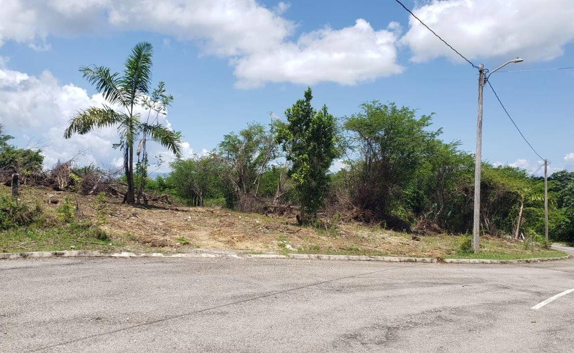 Sixth image of Lot-285 Palmbrook Estate in Lacovia, St. Elizabeth, Jamaica - property is For Sale