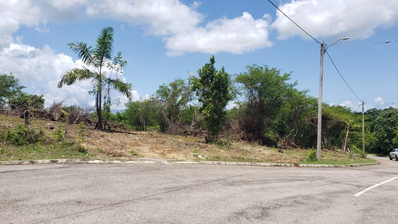 Residential-Lot-for-Sale-in-Gated-Community-Palmbrook-Estate-St.-Elizabeth Sixth image of Lot-285 Palmbrook Estate in Lacovia, St. Elizabeth, Jamaica - property is For Sale