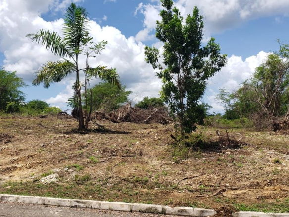 First image of Lot-285 Palmbrook Estate in Lacovia, St. Elizabeth, Jamaica - property is For Sale