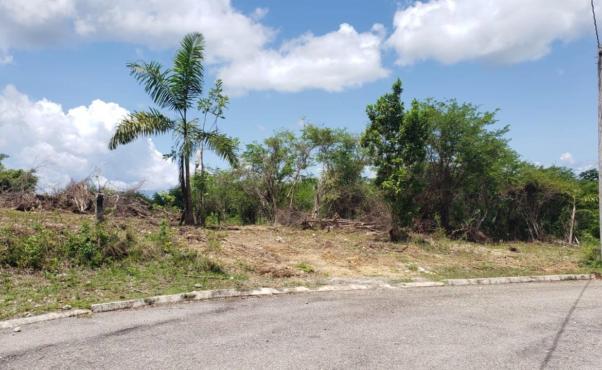 Seventh image of Lot-285 Palmbrook Estate in Lacovia, St. Elizabeth, Jamaica - property is For Sale