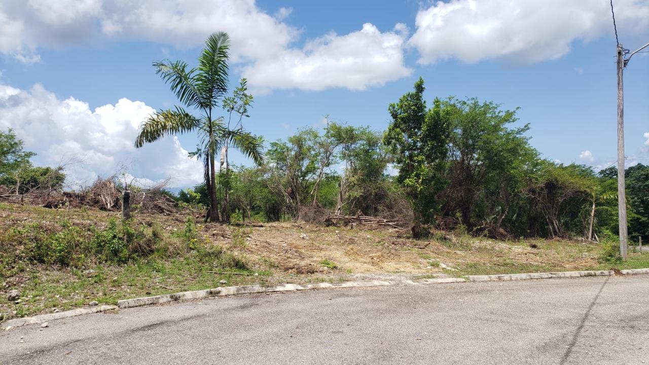 Residential-Lot-for-Sale-in-Gated-Community-Palmbrook-Estate-St.-Elizabeth Seventh image of Lot-285 Palmbrook Estate in Lacovia, St. Elizabeth, Jamaica - property is For Sale