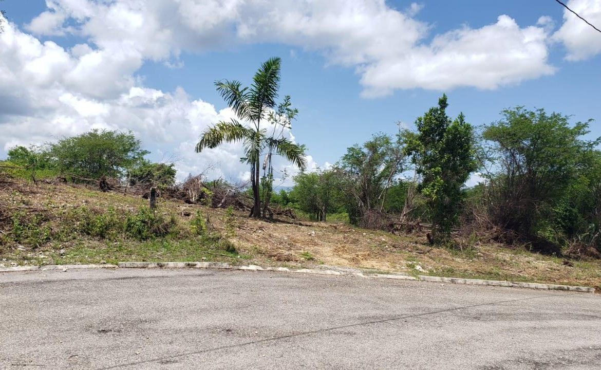 Eighth image of Lot-285 Palmbrook Estate in Lacovia, St. Elizabeth, Jamaica - property is For Sale