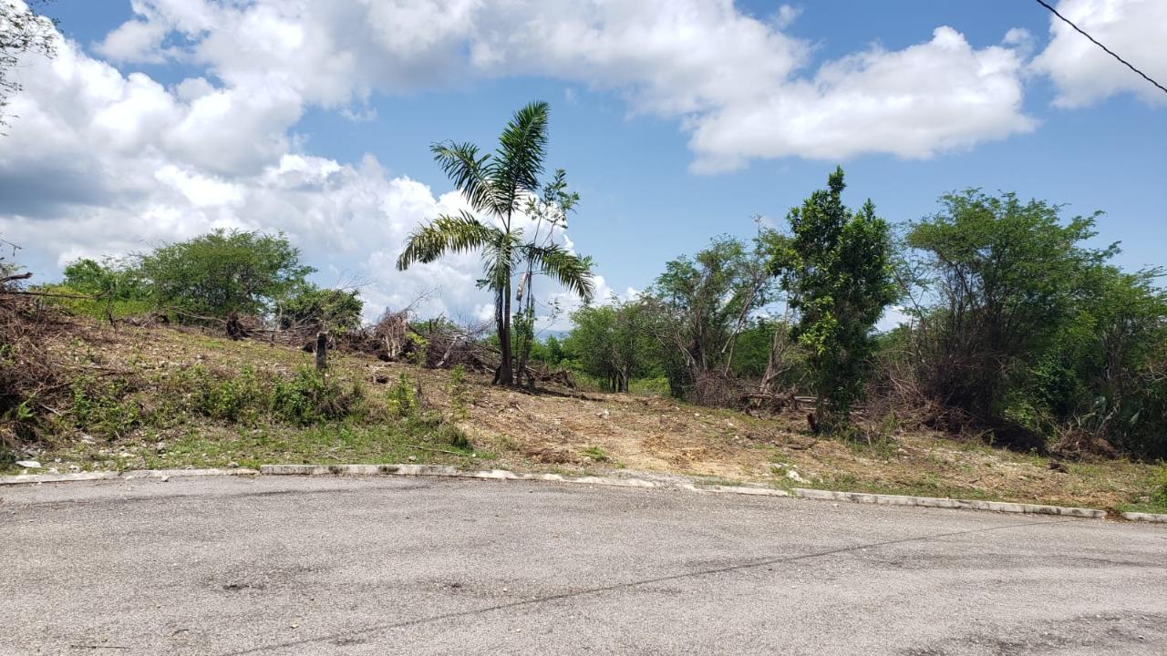 Residential-Lot-for-Sale-in-Gated-Community-Palmbrook-Estate-St.-Elizabeth Eighth image of Lot-285 Palmbrook Estate in Lacovia, St. Elizabeth, Jamaica - property is For Sale