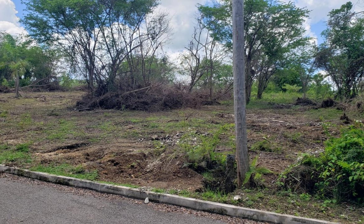 Ninth image of Lot-285 Palmbrook Estate in Lacovia, St. Elizabeth, Jamaica - property is For Sale